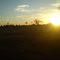 Pantanal MS ) Por Do Sol No Pantanal