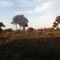 Pantanal MS ) Final Do Dia