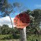 Pantanal