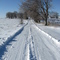 Snowy Road West of Arlington