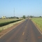 Rodovia BR 163 chegando em Rio Brilhante, plantação de milho nas laterais da rodovia - Mato Grosso do Sul - MS - Brazil