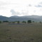 Vegetação da Caatinga com a Serra da Jibóia ao Fundo