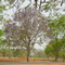 Entrada da Fazenda Padroeira