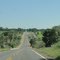 Boiada na BR 419 - Próximo de  Aquidauana - Mato Grosso do Sul Brazil