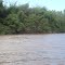 Rio Chheio - Rio Miranda - Ms - Brasil