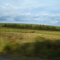 Campos de Rosário do Sul