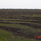 Ema do Campo