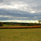 Farm in Hillsborough