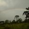 Rain and Rainbow