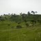 Paisagem Serrana