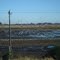 Paisagem na Plantação de Arroz, Nova Santa Rita - RS