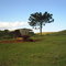 Capão Grande