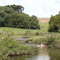 Rio Tamanduá.