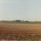 Tennessee Farmland