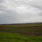 tres lagoas vista da br158