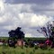 fazenda do deuzimar em sonora