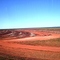 Terra preparada para o plantio de cana-de-açúcar, no fundo a cana já em crescimento, na região de Sonora - Mato Grosso do Sul - MS - Brazil