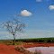 Paisagem do cerrado agrícola #sc