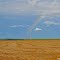 Fábrica de arco-iris #sc
