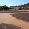 Produção de Café - Sitio Conego Vitor