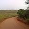 Seguindo a estrada