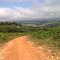 Caminho de volta