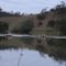 Garças