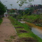 água e merda