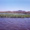 Pantanal