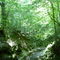 Mary Ann Brown Nature Preserve