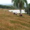 Sitio