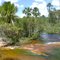 Vereda