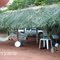 cantinho do sossego; nelson