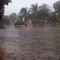 Chuva de Verão