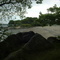 Dead horse beach, Salem