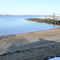Salem Willows