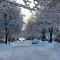 Morning after snow storm at Washington St.