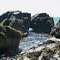 Criehaven Island, Maine
