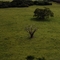 Vista da Pedra da Abelha