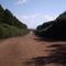 Estrada de Acesso ao Parque Aparados da Serra e ao Parque Serra Geral - Cambará do Sul - Brasil