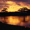 Sunrise and araucarias - Pousada Corucacas - Cambará (07/2004)