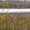 Saubee Lake