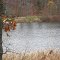 Saddlebag Lake in late fall