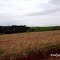 Zona Rural de Pontão,RS,Brasil.