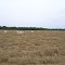 Cadastro de Compromisso Socioambiental - Fazenda Recanto Azul - Cadastrada desde 2011