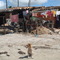 Slumdog / Favela