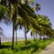 Linha Verde Entre Recife e Maceió