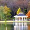 Radio Springs Park