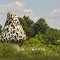 Giant Toadstool