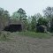 Overgrown barn